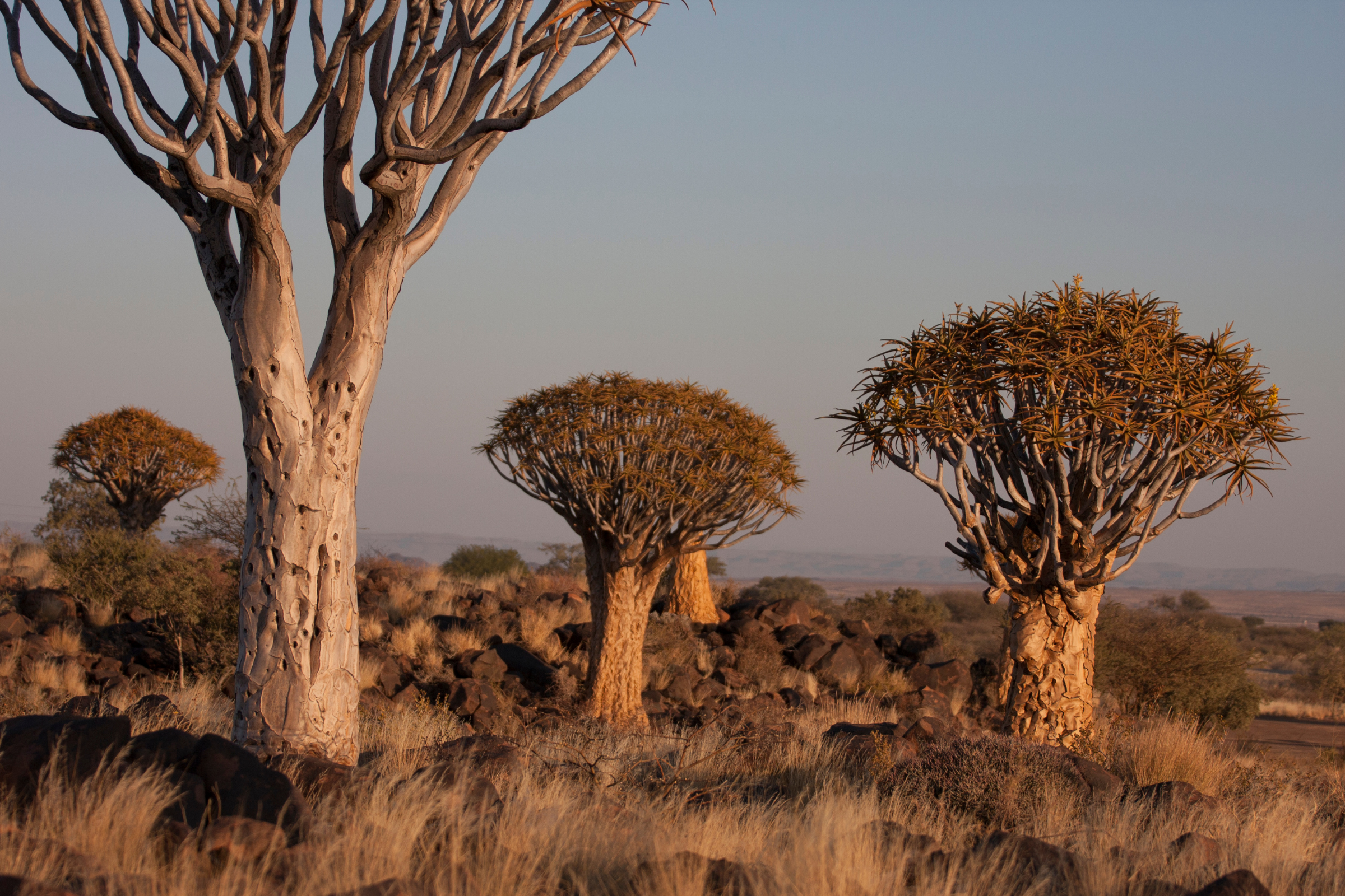 keetmanshoop (3).webp